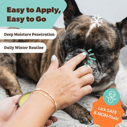 Natural Dog Company Snout Soother Balm – Dog Nose Balm for Dry Cracked Snouts, Moisturizing Winter Nose Care with Coconut Oil & Shea Butter, Lick Safe Dog Snout Balm for All Breeds, 4 oz Tin