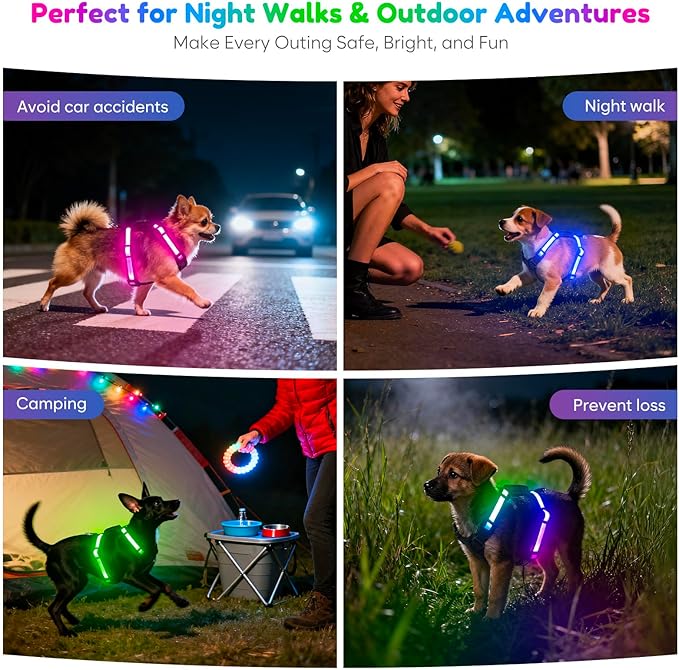 Light Up Dog Harness LED USB-C Rechargeable with Battery Indicator, Lighted Glow in The Dark Dog Harness Adjustable No-Pull Vest for Small Dogs, 7 Lighting Modes for Night Safety
