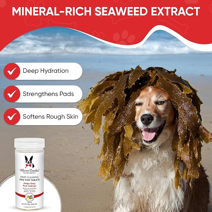 Warren London Deep Cleaning Paw Soak for Dogs – Soothes Itchy, Irritated Paws with Aloe Vera, Seaweed & Tea Tree Oil | Anti-Lick Paw Treatment | 5-Minute at-Home Spa for Dogs | 12 Fizzy Tablets