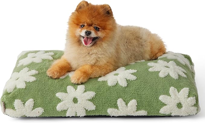 LE SURE Small Dog Beds-Thick Shredded Chopped Foam Pet Bed Gift Indoor with Removable Cover, Cute Modern Fuzzy Plush & Anti Slip Bottom, Green