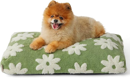 LE SURE Small Dog Beds-Thick Shredded Chopped Foam Pet Bed Gift Indoor with Removable Cover, Cute Modern Fuzzy Plush & Anti Slip Bottom, Green