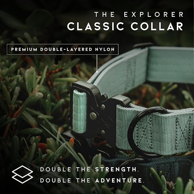 Made to ROAM Premium Explorer Control Collar - Adjustable Heavy Duty Nylon Dog Collar with Quick-Release Metal Buckle and Handle (Virginia Mountains, Control Size 4)