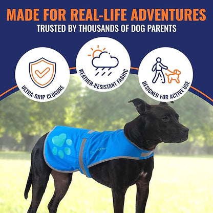 SafetyPUP XD Dog Reflective Vest – Hi-Vis Fluorescent Visibility That Helps to Safeguard Your Pet On/Off Leash in Urban & Rural Areas (Blue, Medium)