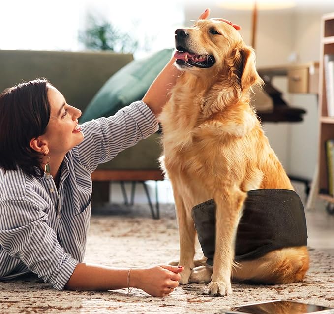 wegreeco Small Dog Diapers Male,Reusable Belly Bands for Male Dogs,Washable Doggie Puppy Male Diapers Wraps,Medium Large Size (5 Pack XX-Large, Black)