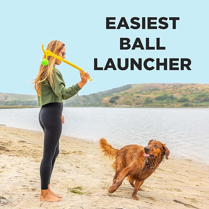 Project Hive Zoomer Stick | Dog Ball Thrower with Set of 2 Looped Dog Balls Included (Green and Blue) | Interactive Dog Toys for Both Land and Water | Balls for Dogs Perfect for Fetch and Tug Play