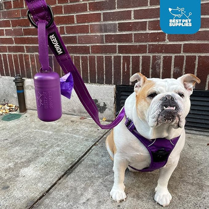 Best Pet Supplies Dog Poop Bag Holder Leash Attachment with 30 Bags, Reusable Dispenser for Travel, Walking, Park, and Outdoor Use, Durable with Clip-On - Royal Blue, Pack of 2