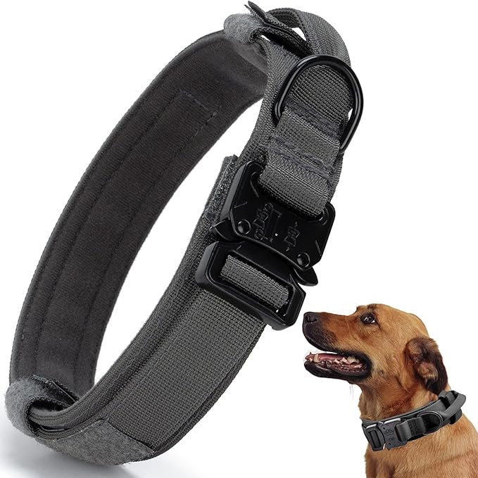 Tactical Dog Collar, Adjustable Military Training Nylon Dog Collar with Control Handle and Heavy Quick-Release Metal Buckle for Small Medium Large Dogs, Grey L
