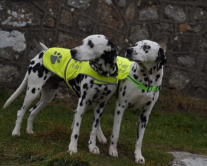 Safety Reflective Vest for Dogs - High Visibility for Outdoor Activity Day and Night, Protect Your Pet from Cars & Hunting Accidents