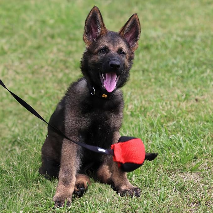 Dingo Gear French Linen Ball for Dog Training, as Reward for Fetch tug of war, with Long Handle, Handmade, red-Black S02813