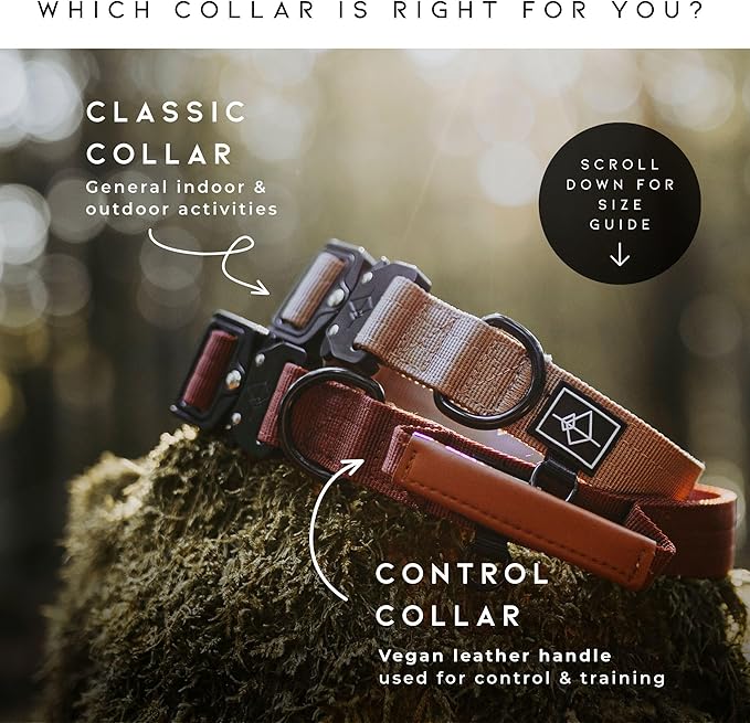 Made to ROAM Premium Explorer Control Collar - Adjustable Heavy Duty Nylon Dog Collar with Quick-Release Metal Buckle and Leather Handle (Texas Flair, Size 2, Control)