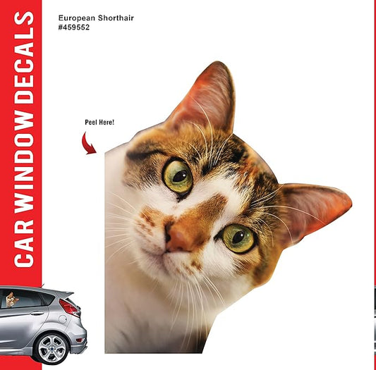 LEMONSODA Cat Car Window Decals Funny 3D Weatherproof Decals (Calico Cat)