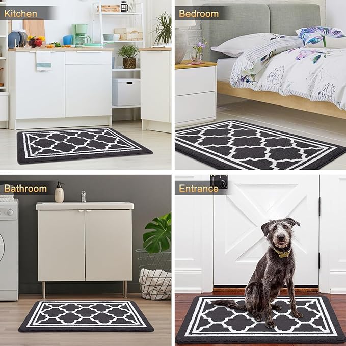Buganda Indoor Door Mat, Dirt-Resistant and Absorbent Doormat, Anti-Slip, Low Profile Floor Mats for Inside Entryway, Front, and Back Door Entrance (36x24 Inches, Dark Grey)