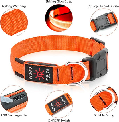 Illumifun Light Up Dog Collar, USB Rechargeable LED Dog Collar, Adjustable Lighted Safety Collar for Nighttime Walking Camping (Orange, Medium)