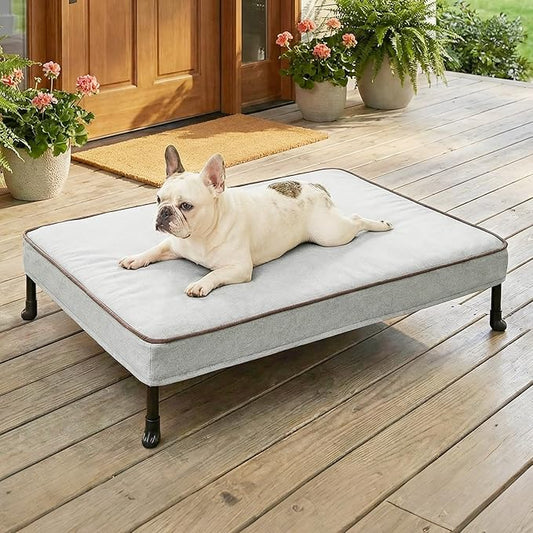 Veehoo Elevated Dog Bed with Waterproof Cushion Mat, Cooling Raised Dog Beds with Padded Top, Washable Outdoor Dog Bed, Orthopedic Pet Cot for Indoor & Outdoor, Medium Dog Bed 32" x 25", Dark Grey