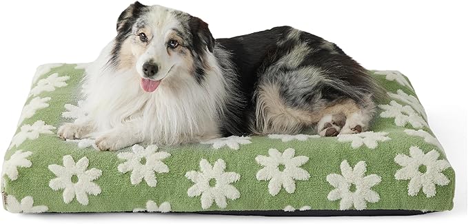 LE SURE XLarge Dog Bed-Thick Shredded Chopped Foam Pet Bed as Gift for Indoor with Removable Cover, Cute Modern Fuzzy Plush & Anti Slip Bottom, Green