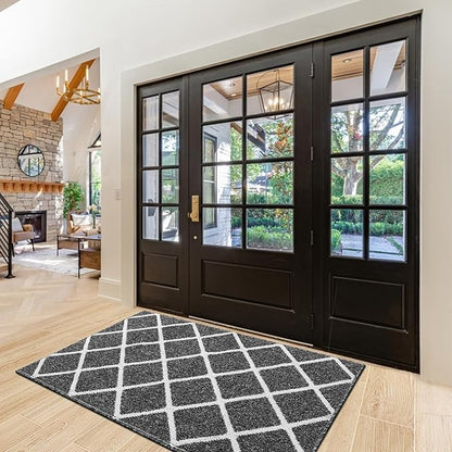 Finchitty Indoor Door Mat, Dirt Resistant and Absorbent, Low-Profile, Non-Slip, Washable Inside Floor Mats for Front Door, Back, and Entrance, 47" x 20", Black