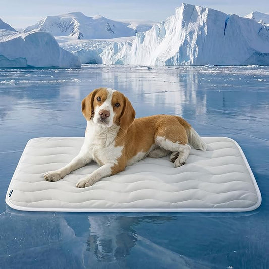 Bedsure Cooling Mat for Large Dogs - Q-Max>0.4 Thin Breathable Cooling Crate Pad Indoor for Pet with Chill Cool Fiber and Non-Slip Bottom，Portable Washable Kennel Mat in Outdoor Summer, 35x23, Grey