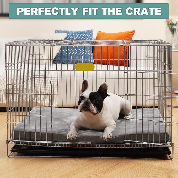 Waterproof Small Dog Bed Crate Pad 24 inch, Outdoor Washable Puppy Bed Orthopedic with Removable Cover Reversible, Foam Cat Bed Kennel Pad 23" x17, Durable Anti-Slip Bottom, Gray