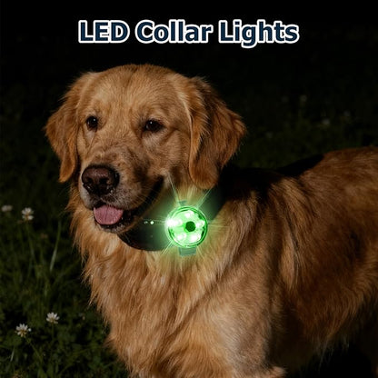 2-Pack Dog Collar Light, Fyorbietail 2025 Upgraded 8 Changing Rechargeable Dog Light with Durable Silicone Band, IPX7 Waterproof Collar Lights for Nightwalking, Hiking