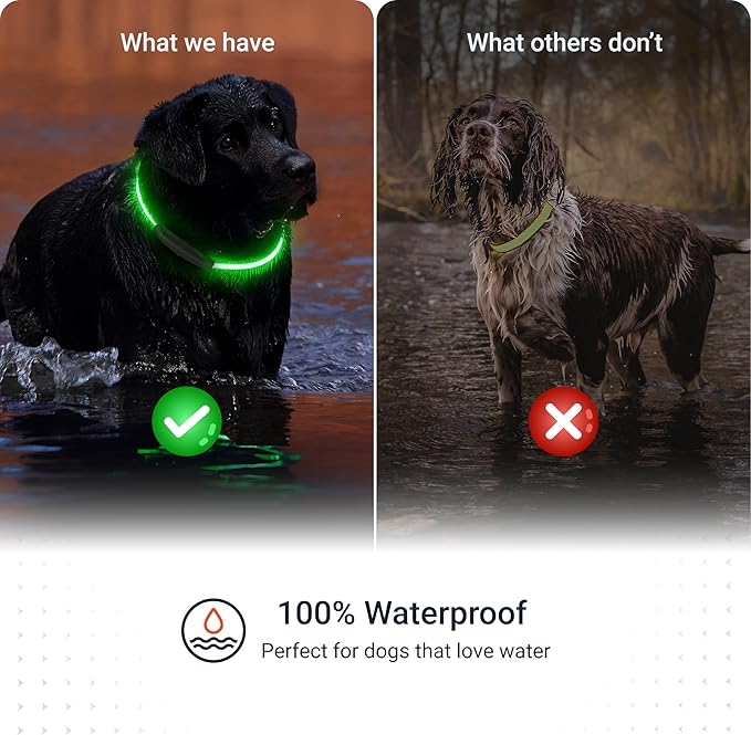 PAJ GPS – PAJ Light – Glowing LED Collar for Dogs – Cut-to-Fit (20–70 cm) – 100% Waterproof – 7 Color Modes – Night Safety & Visibility