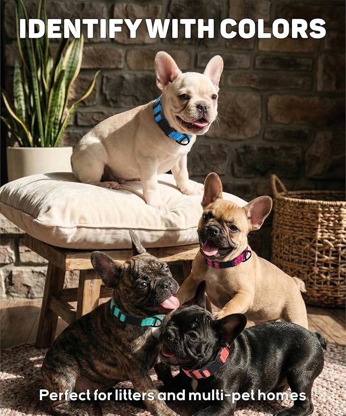 TagME Reflective Nylon Dog Collars, Adjustable Classic Pet Collar with Quick Release Buckle for Extra Large Dogs, Orange, 1¼" Width