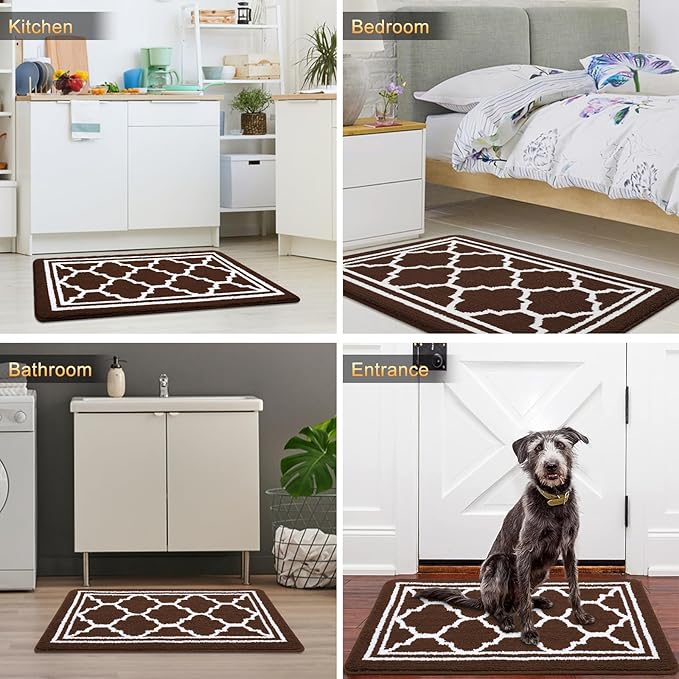 Buganda Indoor Door Mat, Dirt-Resistant and Absorbent Doormat, Anti-Slip, Low Profile Floor Mats for Inside Entryway, Front, and Back Door Entrance (32x20 Inches, Dark Brown)