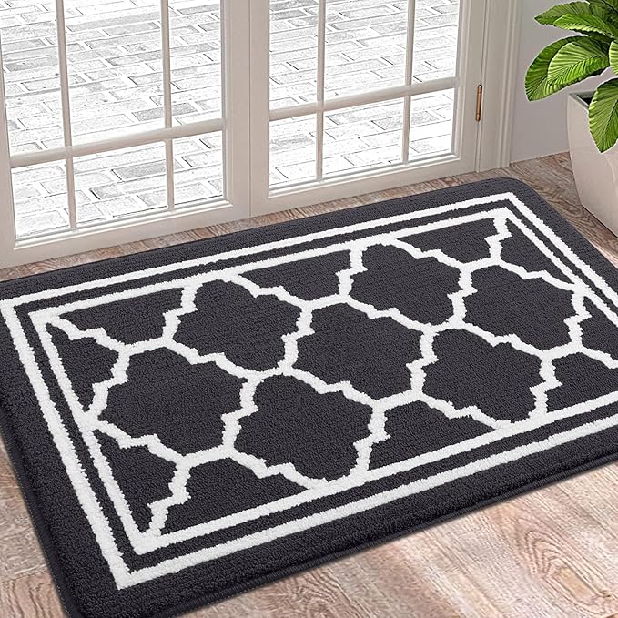 Buganda Indoor Door Mat, Dirt-Resistant and Absorbent Doormat, Anti-Slip, Low Profile Floor Mats for Inside Entryway, Front, and Back Door Entrance (36x24 Inches, Dark Grey)