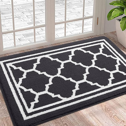 Buganda Indoor Door Mat, Dirt-Resistant and Absorbent Doormat, Anti-Slip, Low Profile Floor Mats for Inside Entryway, Front, and Back Door Entrance (36x24 Inches, Dark Grey)