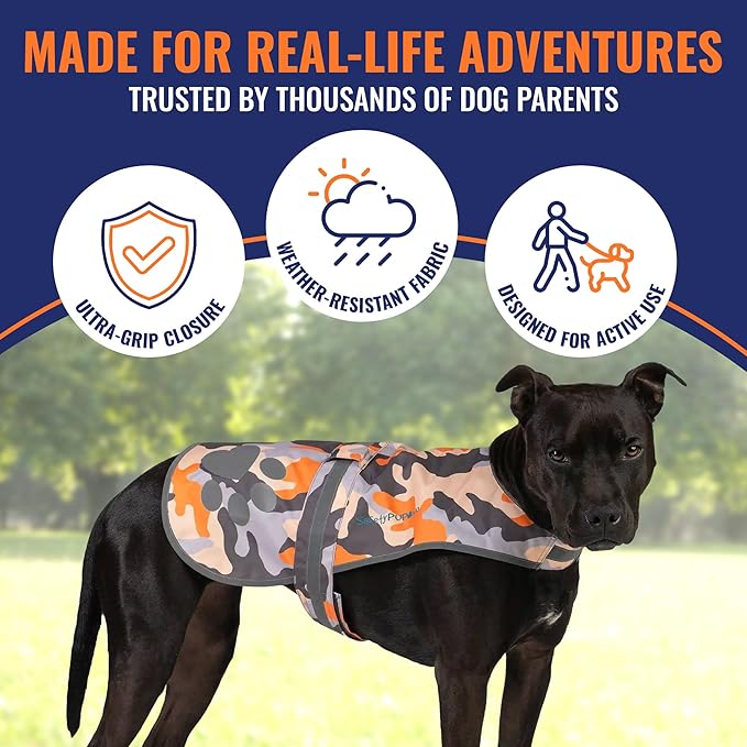 SafetyPUP XD Dog Reflective Vest – Hi-Vis Fluorescent Visibility That Helps to Safeguard Your Pet On/Off Leash in Urban & Rural Areas (Camo, Medium)
