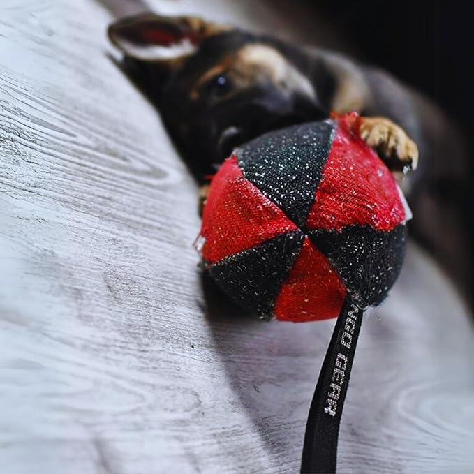 Dingo Gear Dog Tug Toy for Strong Dog, Bite Training, IGP, Fun, French Linen, Small Ball red S02780