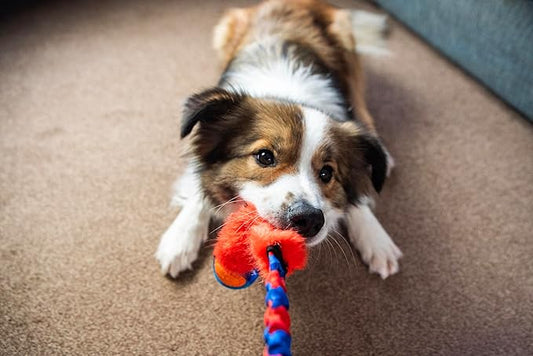 Tug-E-Nuff Fauxtastic PowerBall Bungee, Durable, Faux-Fur Fetch & Tug of War Dog Toy with Rubber Ball, Interactive Dog Tug Toys for Training Small, Medium, Large Dogs, 25 in, Orange Pattern