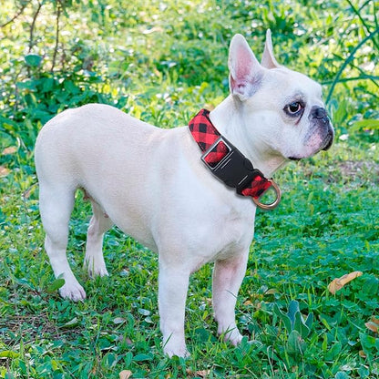 Reflective Dog Collar Padded with Soft Neoprene Breathable Adjustable Nylon Dog Collars for Small Medium Large Dogs (Small (Pack of 1), Red Plaid Collar+Leash)