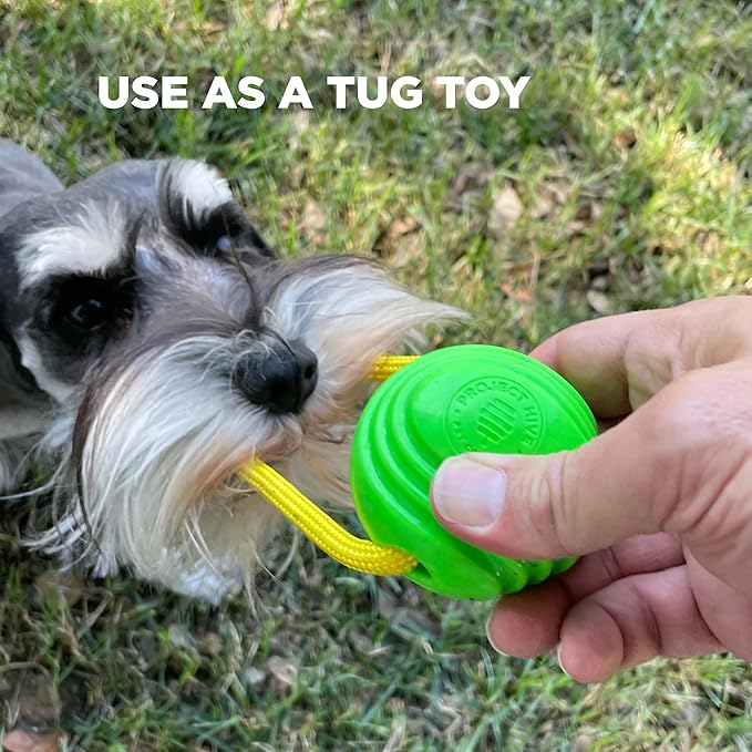 Project Hive Dog Ball | Set of 3 Looped Dog Balls | Interactive Dog Toys Compatible with Hive Zoomer Dog Toy Thrower | Perfect for Fetch and Tug Play | Pink, Green, Blue