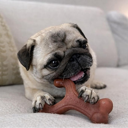 Nylabone Wishbone Strong Chew Toy for Dogs Made with Real Bacon, Durable Dog Chew Bones for Aggressive Chewers, Long-Lasting Flavor Keeps Dogs Busy, Small Dog Toys - Up to 25 lbs, 1 Count