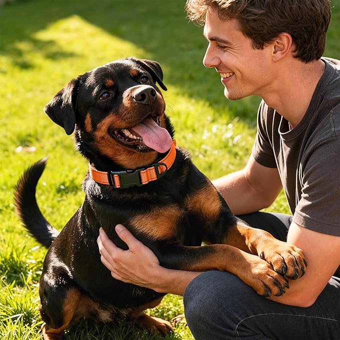 Reflective Dog Collar with Quick Release Buckle - Metal Ring - Adjustable Soft Neoprene Padded Basic Dog Collar for Small Medium Large Dogs (Orange, Large :Width 1",Neck 15.7-23.6")