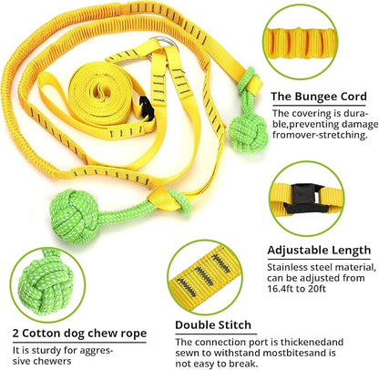 Dog Hanging Bungee Tug Toy for Two Dogs: Interactive Tether Tug-of-War for Pitbull Small to Large Dogs to Exercise - Durable Retractable Tugger Dog Rope Toy with 2 Chew Rope Toys