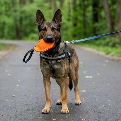 Dingo Gear Dog Tug Toy for Strong Dog, Bite Training, IGP, Fun, French Linen Disc, 5,5" Orange Berta S00092