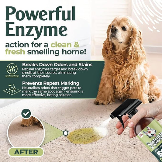 Sprinkle & Sweep: Pet Stain & Odor Enzyme Spray - 24oz - No Scrubbing Concentrated Formula, Dog & Cat Urine & Mess Destroyer, Carpet Spot Cleaning