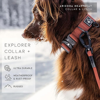 Made to ROAM Premium Explorer Control Collar - Adjustable Heavy Duty Nylon Dog Collar with Quick-Release Metal Buckle and Handle (Oregon Haze, Control Size 5)