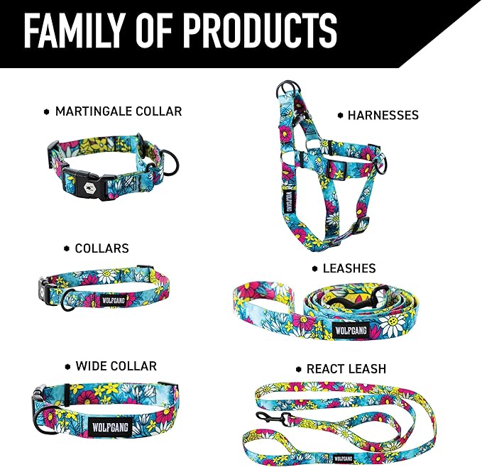 Wolfgang Heavy Duty, Adjustable Dog Collar with Quick Release Nylon Buckle for Walking & Training, LazyDaisy Print, Small
