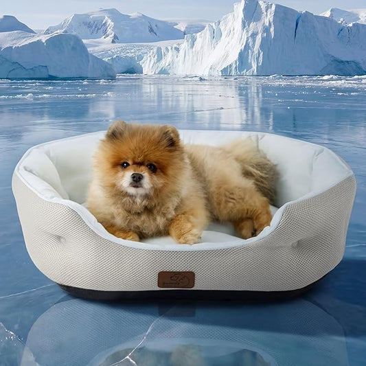 Bedsure Cooling Dog Beds for Small Dogs - Round Medium Cat Beds for Indoor Cats, Washable Pet Bed for Puppy and Kitten with Slip-Resistant Bottom, 25 Inches, Blue
