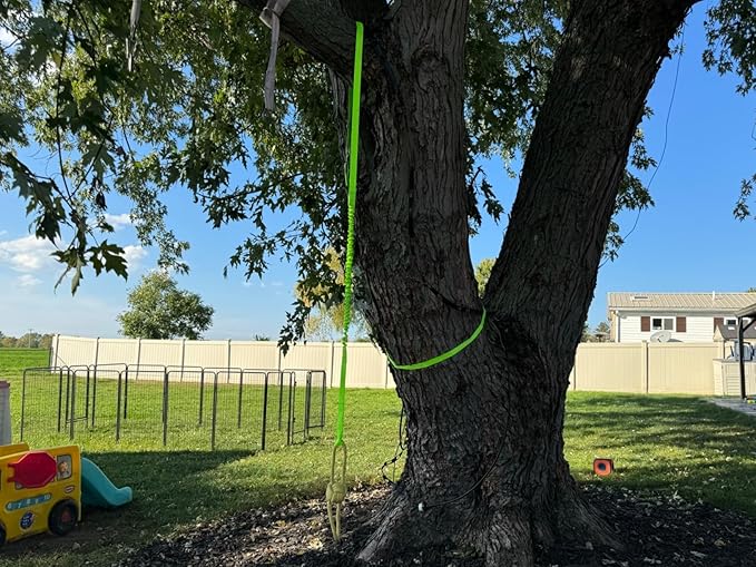 Dog Bungee Tug Toy, Hanging Tether Tug of War for Various of Dogs to Exercie and Play, Outdoor Retractable Dog Rope with Cotton Chew Toy (Green Strap)