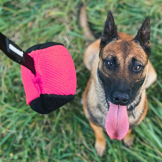 Dingo Gear French Linen Ball for Dog Training, as Reward for Fetch tug of war, with Long Handle, Handmade, Pink-Black S02816