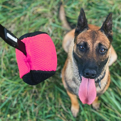 Dingo Gear French Linen Ball for Dog Training, as Reward for Fetch tug of war, with Long Handle, Handmade, Pink-Black S02816