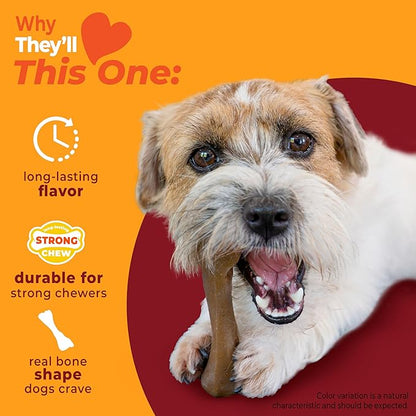 Nylabone Femur Bone Strong Chew Toy for Dogs Made with Real Bison & Venison, Durable Dog Chew Bones for Aggressive Chewers, Long-Lasting Flavor Keeps Dogs Busy, Small Dog Toys - Up to 25 lbs, 1 Count