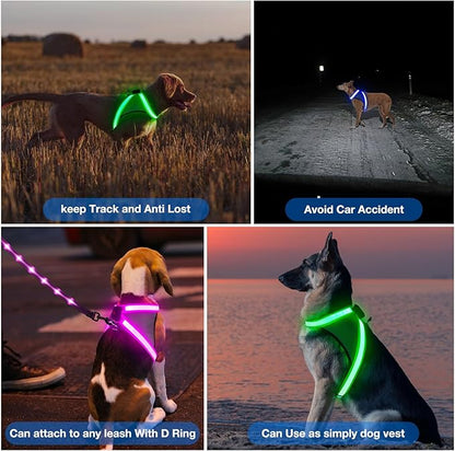 ChalkLit Light Up Dog Harness, No Pull Led Dog Harness Glow-in-The-Dark for Night Walking, USB Rechargeable Lighted Safety Vest for Medium Large Dogs, Adjustable Soft Mesh Fully Illuminated (Blue, M)
