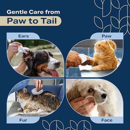 Dog Wipes for Paws and Butt - Plant Based Lavender Scented (Pack of 400) - Pet Wipes for Dogs and Cats - Deodorizing Non Toxic Dog Wipes, +12 Additional Travel Wipes