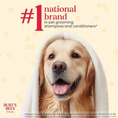BURT'S BEES FOR PETS Paw & Nose Lotion for Dogs with Manuka Honey and Olive Oil, Soothes Dry Dog Paws -Naturally Derived Ingredients, 6 Oz