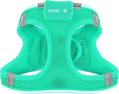 Light Up Dog Harness,Rechargeable LED Dog Harness for Small Medium Large Dogs,Reflective Lighted Safety Vest for Night Walking & Camping,Lightweight & Adjustable,Light Green,XS