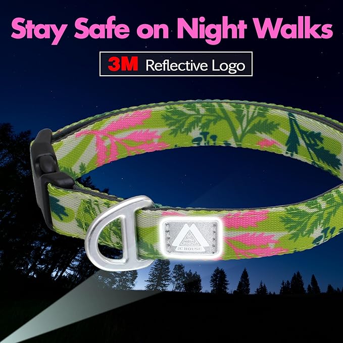 Small Dog Collar with Reflective Logo and Soft Padded Neoprene,Summer Tropical Leaf Design, Adjustable,Lightweight & Durable, Neck Size 9’’-14’’ (Leaf, S)
